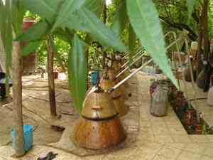 تور یکروزه نیاسر و کاشان |هفته دوم اردیبهشت| تور یکروزه نیاسر و کاشان |هفته دوم اردیبهشت|