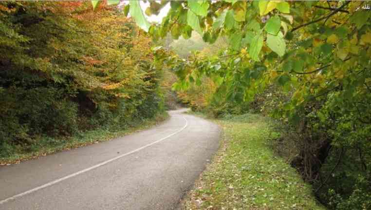 جنگل نقله بر رودبار |تور یک روزه| جنگل نقله بر رودبار |تور یک روزه|