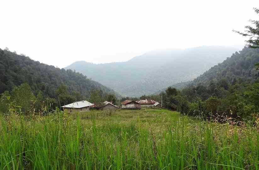 یک سفر یک کتاب |جنگل نقله بر همراه با عبدالجبار کاکایی| جنگل نقله بر رودبار |تور یک روزه|