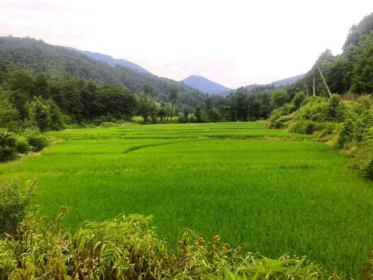 یک سفر یک تئاتر |دامنههای درفک| یک سفر یک تئاتر |دامنههای درفک|