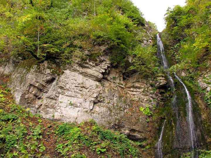 جنگل ابر |تور تعطیلات خرداد| جنگل ابر |تور تعطیلات خرداد|