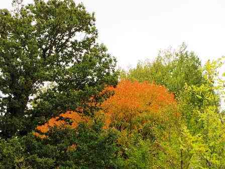 تور جنگل ابر و چشمه های باداب سورت |تعطیلات اردیبهشت| اجرای دوم تور جنگل ابر و چشمه های باداب سورت |تعطیلات اردیبهشت| اجرای دوم