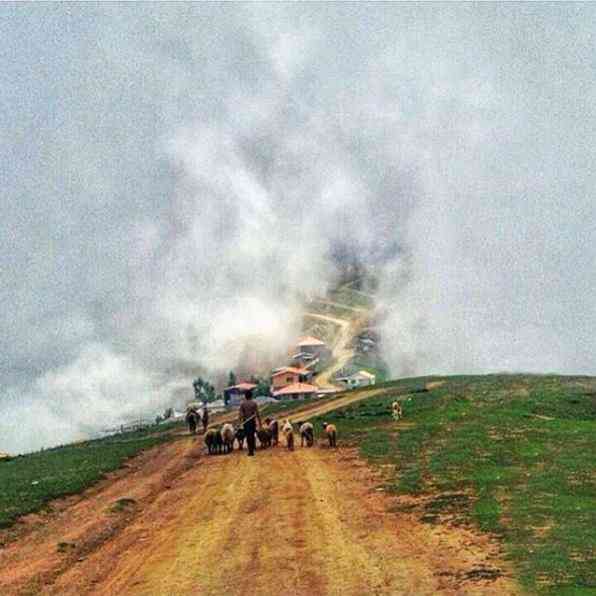 تور یک روزه ییلاق فیلبند |بام مازندران| تور یک روزه ییلاق فیلبند |بام مازندران|