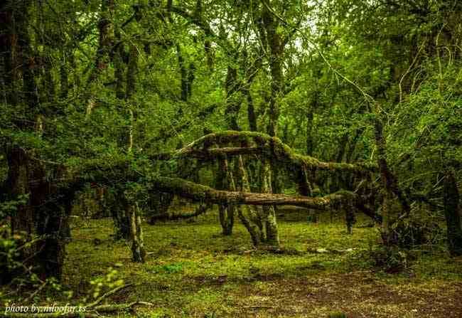 تور یکروزه الیمستان |هفته اول آبان| تور یکروزه الیمستان |هفته اول آبان|