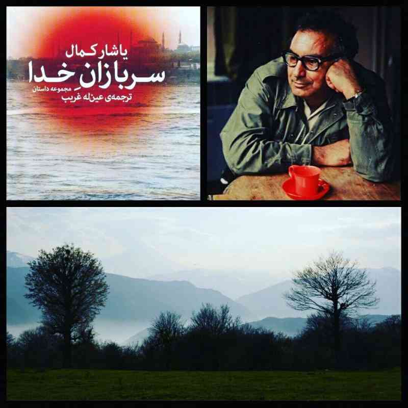 یک سفر یک کتاب |جنگل الیمستان-عین اله غریب| یک سفر یک کتاب |جنگل الیمستان-عین اله غریب|