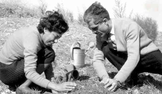 سیمین دانشور و جلال آل احمد سیمین دانشور و جلال آل احمد