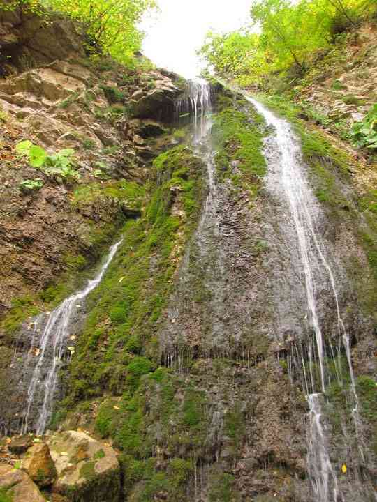 تور جنگل ابر |تور نوروز 95| اجرای اول تور جنگل ابر |تور نوروز 95| اجرای اول