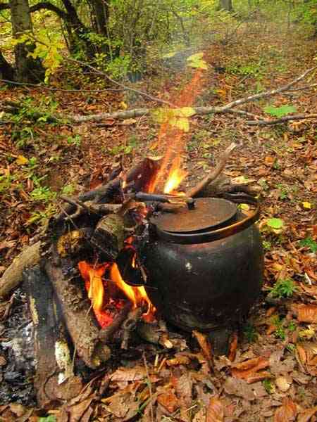 تور یک روزه جنگل راش |هفته دوم آبان| تور یک روزه جنگل راش |هفته دوم آبان|