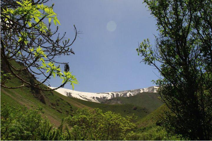 گردش اِنترِپرونولی به مقصد شهرستانک|بازی کارآفرینان| گردش اِنترِپرونولی به مقصد شهرستانک|بازی کارآفرینان|